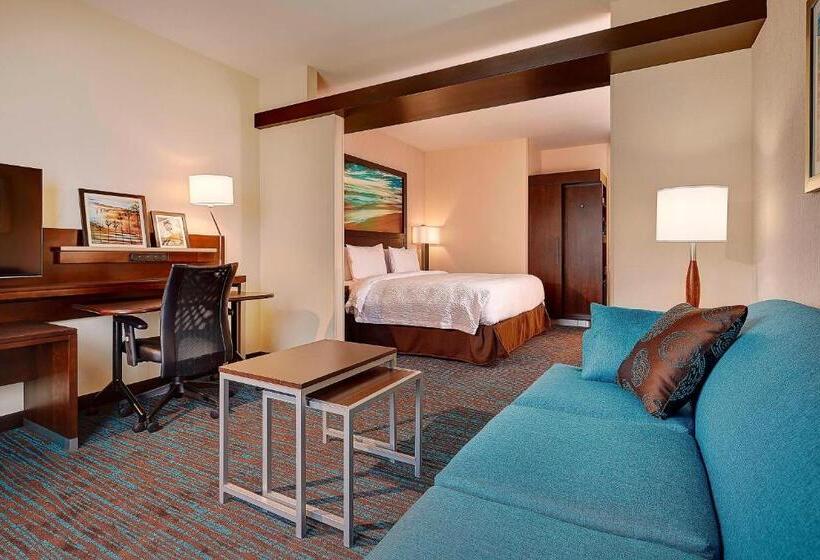 带大床的套房, Fairfield Inn & Suites By Marriott San Diego Carlsbad