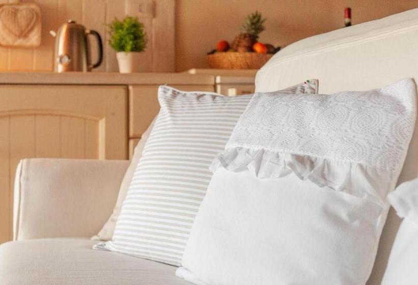 Студия Стандарт, Antica Residenza Montereano