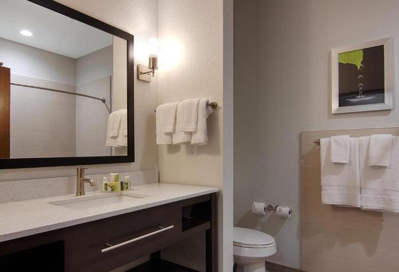 חדר סטנדרט מותאם לאדם עם מוגבלויות, Best Western Plus College Station Inn & Suites