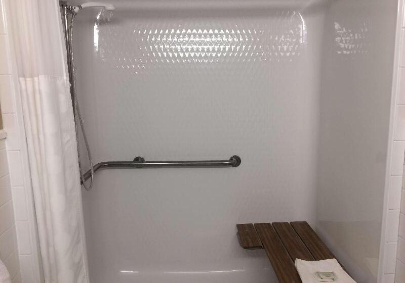 Номер Стандарт, Holiday Inn Express & Suites Litchfield, An Ihg