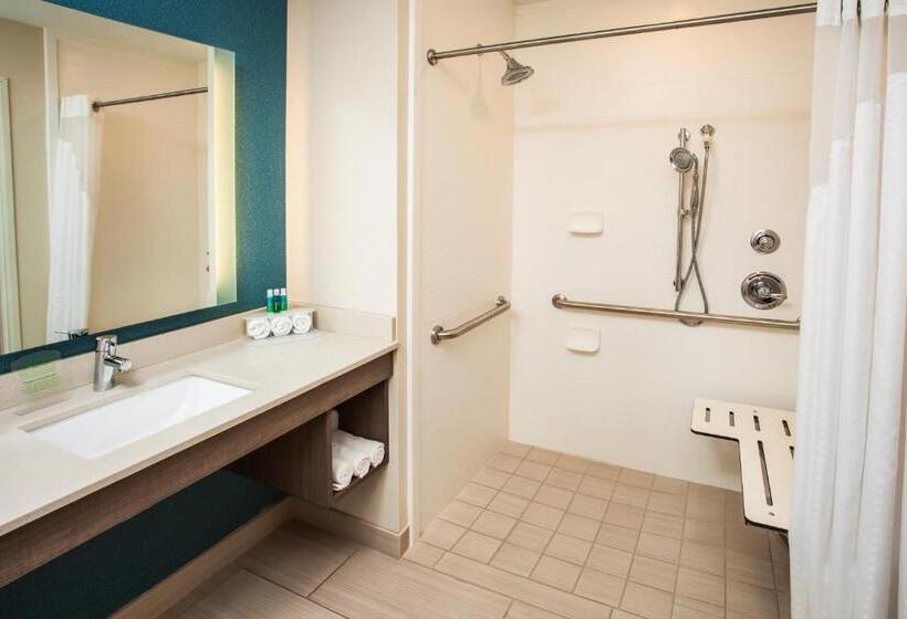 Номер Стандарт Кровать Кинг Адаптированный для Инвалидов, Holiday Inn Express & Suites Litchfield, An Ihg
