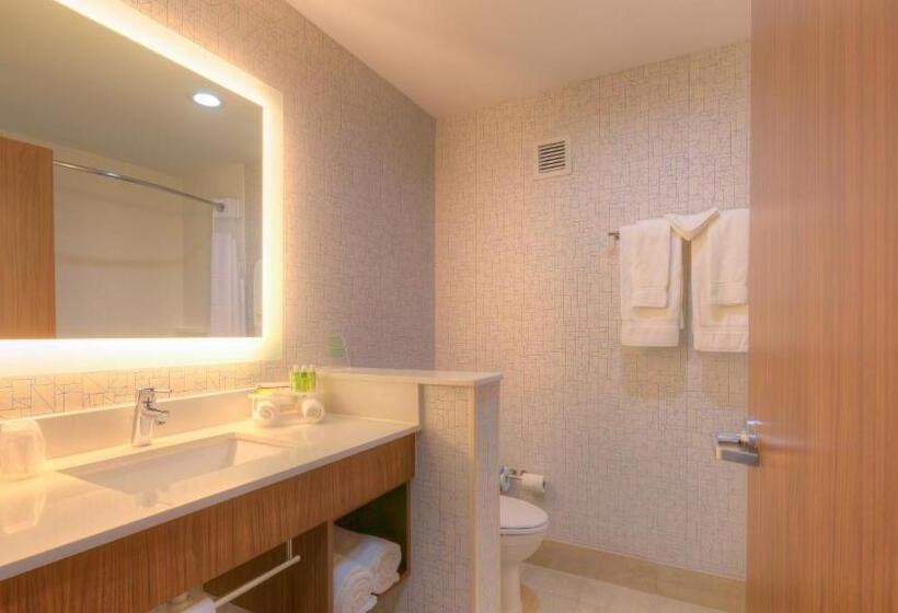חדר סטנדרט, Holiday Inn Express & Suites Tulsa Midtown, An Ihg