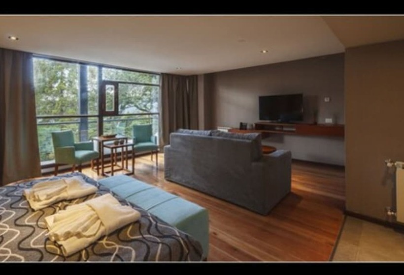 Люкс Повышенной Комфортности, Bosque Del Nahuel Boutique Hotel & Spa