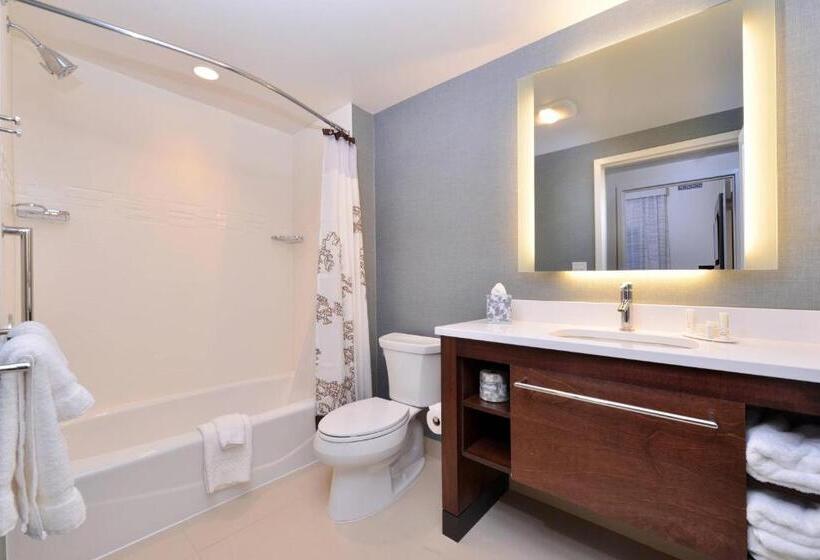 Люкс 2 Спальни, Residence Inn By Marriott East Lansing