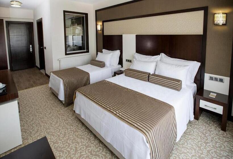 اتاق استاندارد سه نفره, Lavin Hotel & Spa