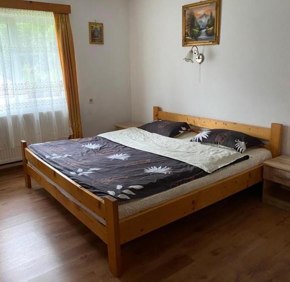 Номер Стандарт, Pensiunea Puiu