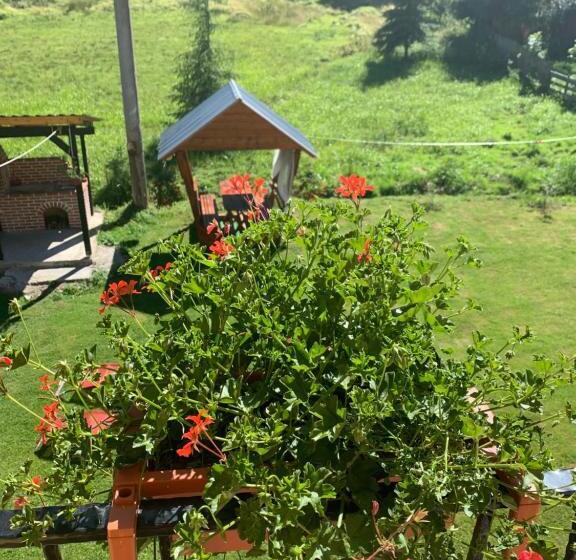 اتاق لوکس, Casa Natalia Raisa Arieșeni