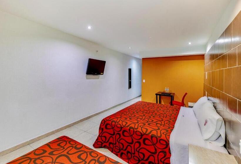 コンフォートルーム, First Inn Hotel & Business