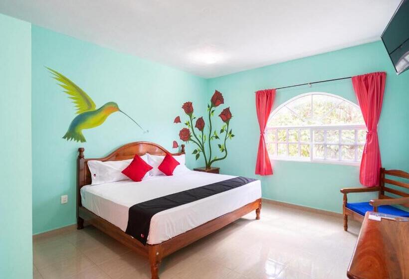 スーペリアールーム, Hacienda Bacalar