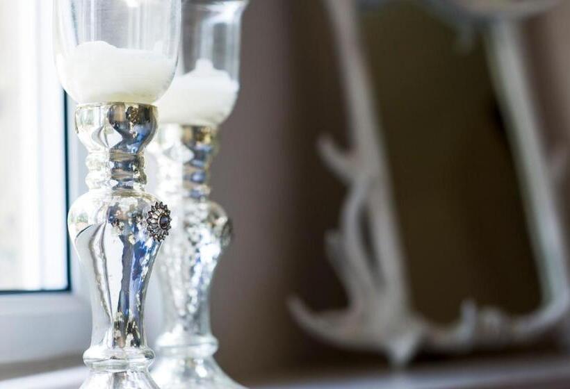 اتاق لوکس با تخت بزرگ, Crazy Fox Hurley Boutique B&b