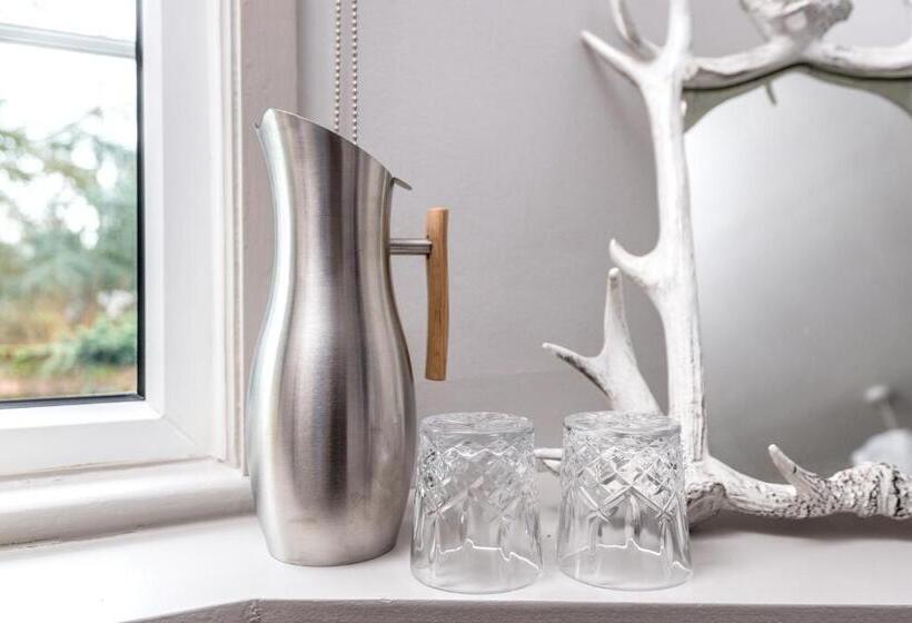 اتاق لوکس با تخت بزرگ, Crazy Fox Hurley Boutique B&b