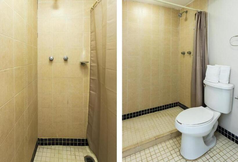 エコノミールーム, Boca Inn Hotel & Suites
