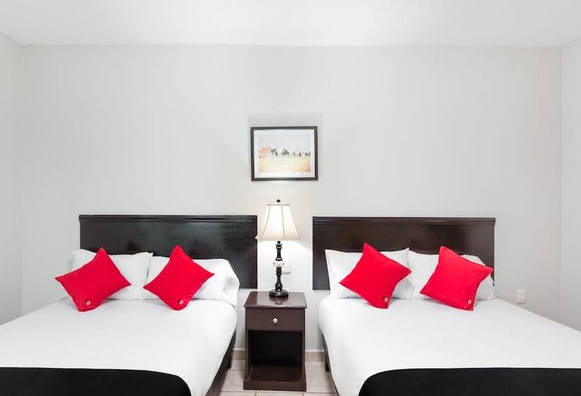 スーペリアールーム, Boca Inn Hotel & Suites
