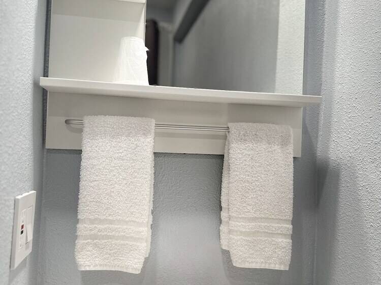 Standaardkamer met Gedeelde Badkamer, Winsor