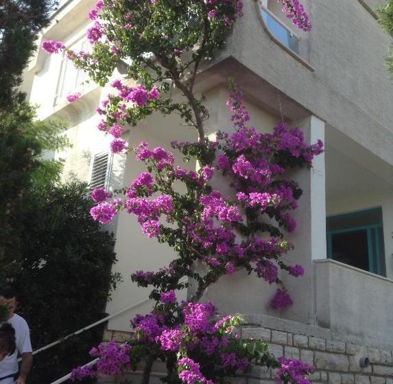 اتاق استاندارد با چشم‌انداز دریا, Guesthouse Punta Mira   Beachfront