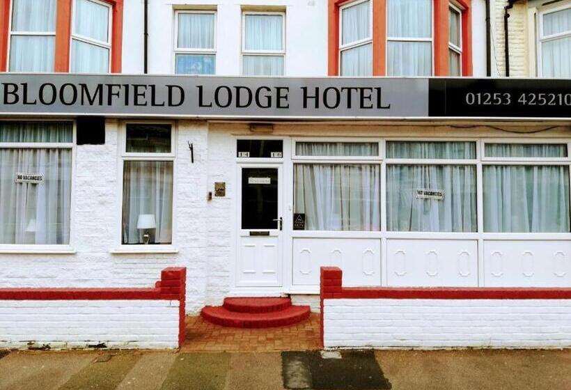 Tek Kişilik Delüks Oda, Bloomfield