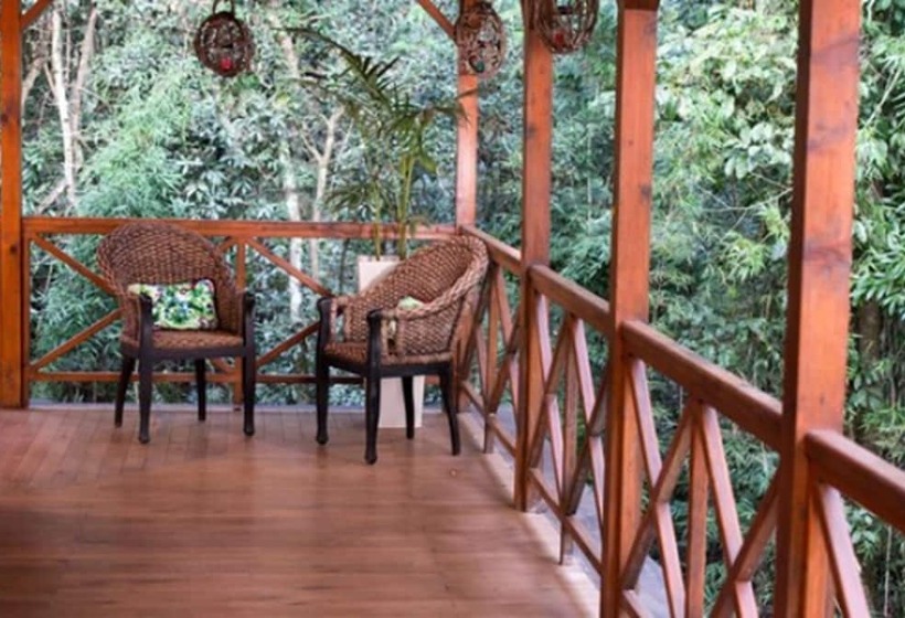 Номер Стандарт, Selva De Laurel