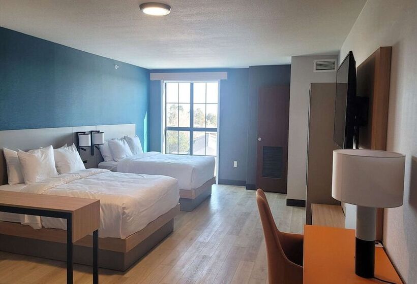 Люкс, Comfort Suites Cheyenne