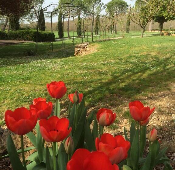 침실 1개 아파트, Fattoria Agriturismo Nerbona