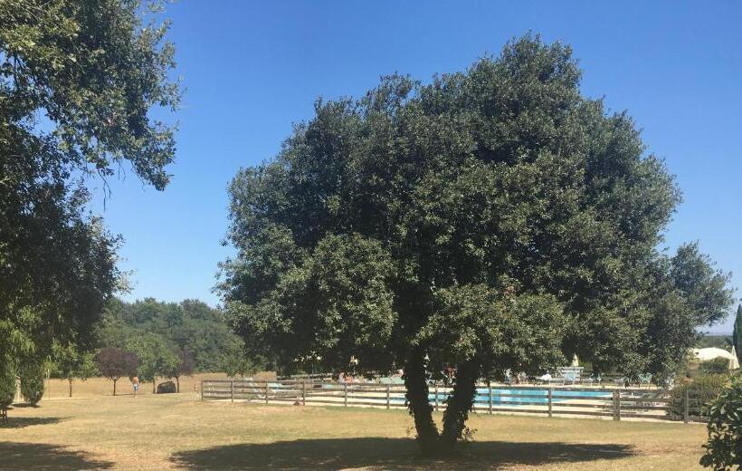 스탠다드 룸, Fattoria Agriturismo Nerbona