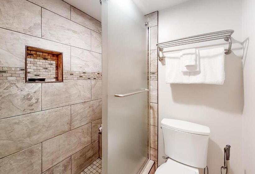 Апартаменты 2 Спальни, Park Station Condominiums 234