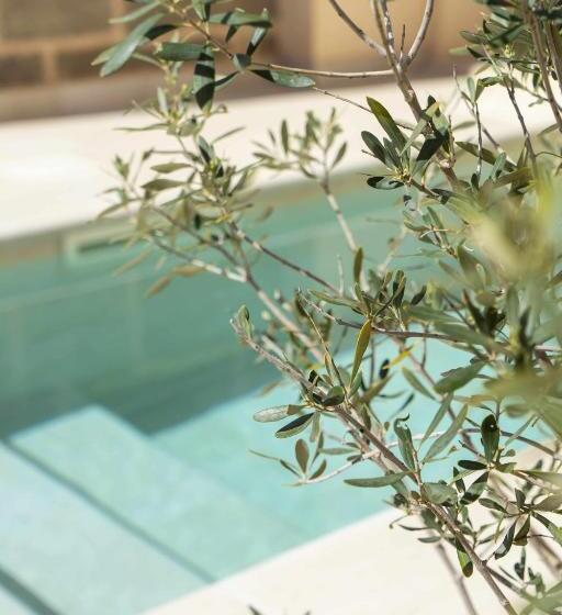 스탠다드 발코니 룸, Atrium Suites Mallorca