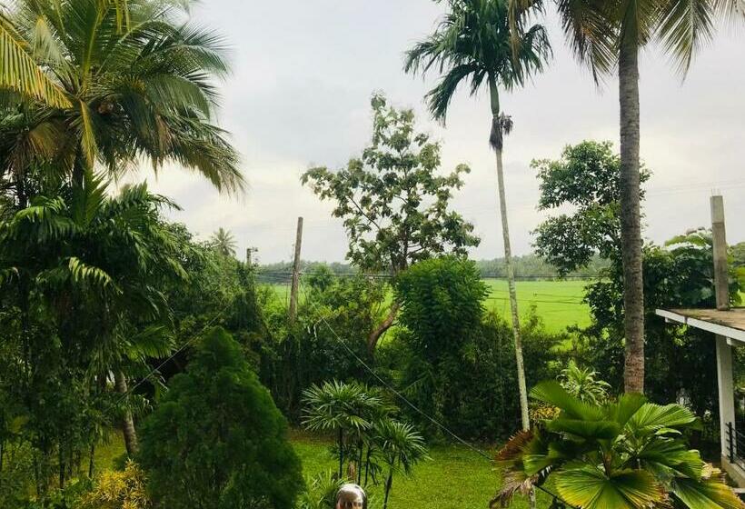 اتاق خانوادگی, Green Parrot Family Resort