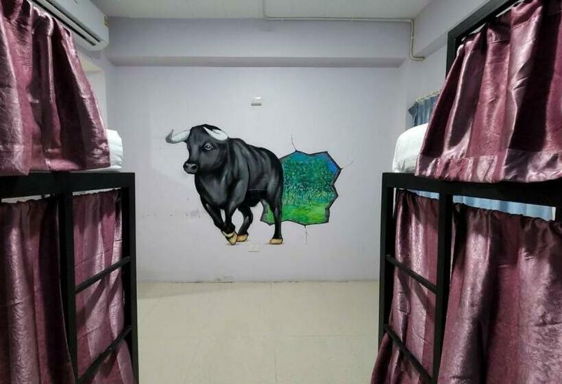 تختخواب در اتاق مشترک, Save Hostel