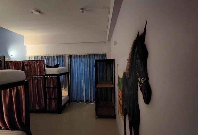 تختخواب در اتاق مشترک, Save Hostel