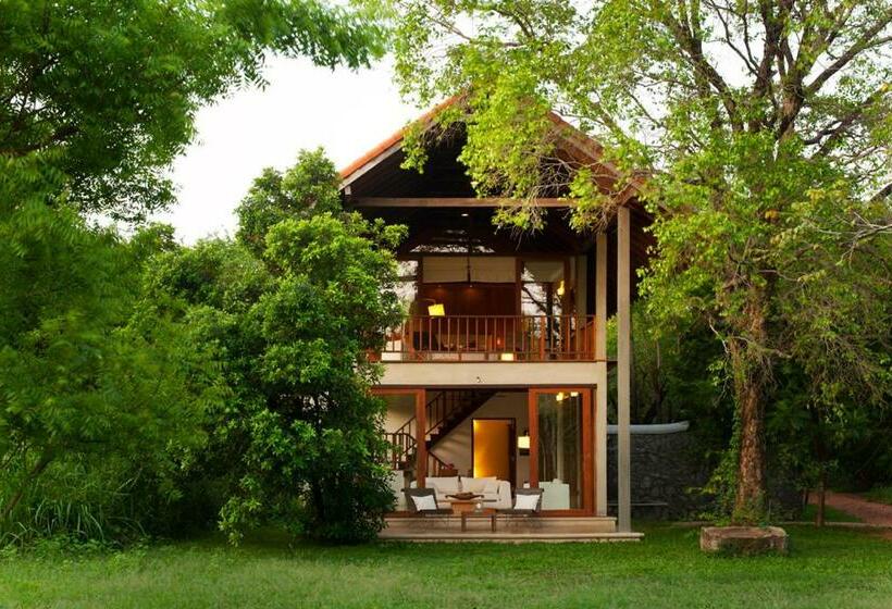 سوییت لوکس, Wild Grass Nature Resort