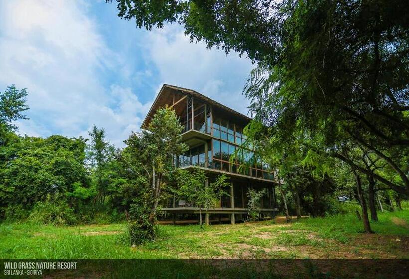 سوئیت پریمیوم, Wild Grass Nature Resort