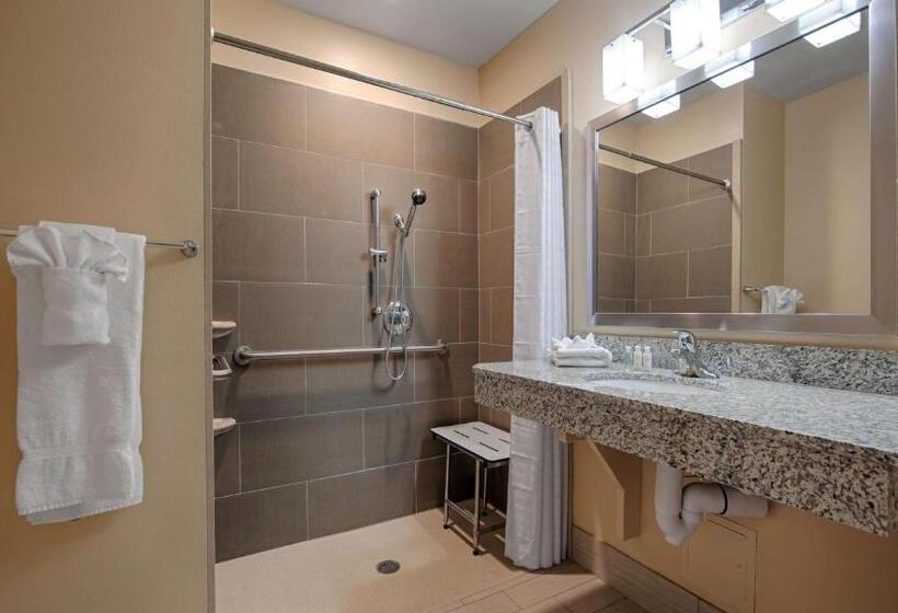 Номер Стандарт Кровать Кинг Адаптированный для Инвалидов, Wyndham Garden Lancaster Ca