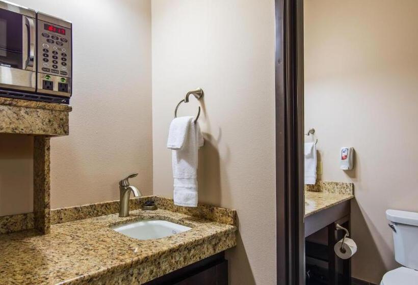 Стандартный Номер Кровать Кинг, Best Western Plus Havre Inn & Suites