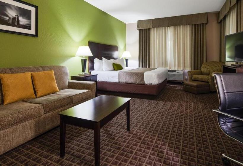 Номер Стандарт Кровать Кинг Адаптированный для Инвалидов, Best Western Plus Havre Inn & Suites