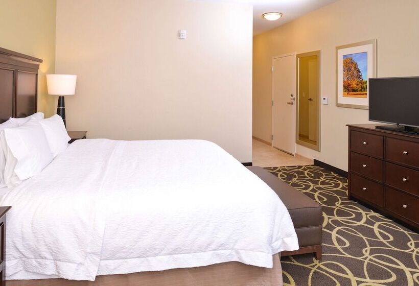 Номер Стандарт Адаптированный для Инвалидов, Hampton Inn Omaha Midtownaksarben Area