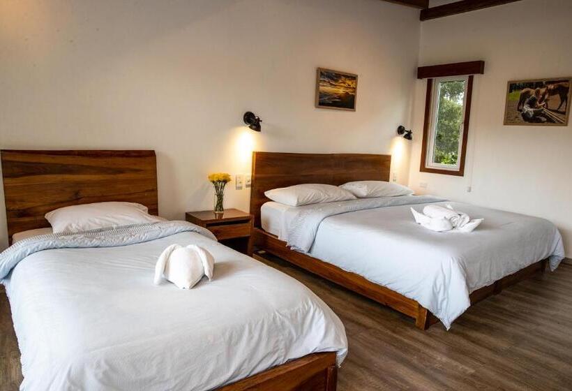 스탠다드 룸, Hosteria Papagayo Cotopaxi