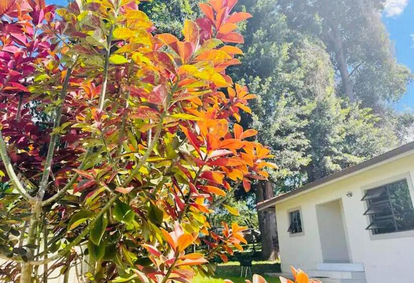 Номер Стандарт Вид на Сад, Snamel Guest House Waterfall