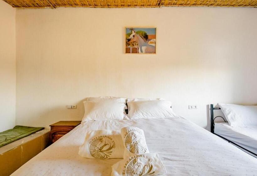 Family Suite, Elaaz Horse Farm