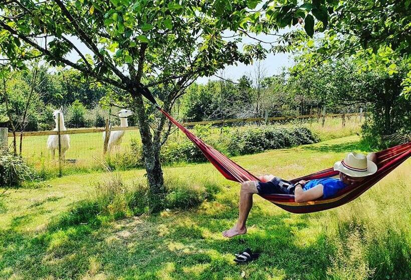 Номер Стандарт, Loire Valley Llama Farm Stay