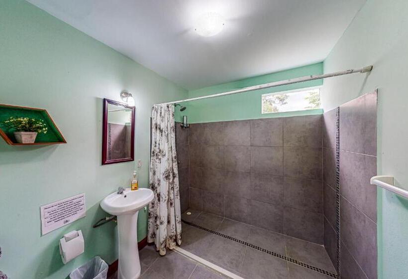 Трехместный Номер Deluxe, Nueva Villa Paraíso Four Villas