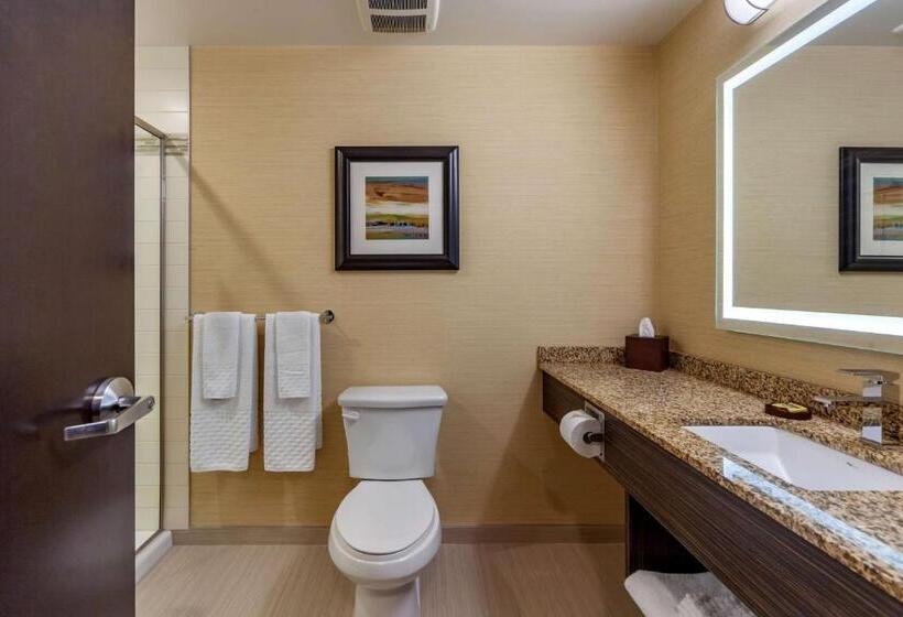 Стандартный Номер Кровать Кинг, Best Western Plus Drayton Valley All Suites