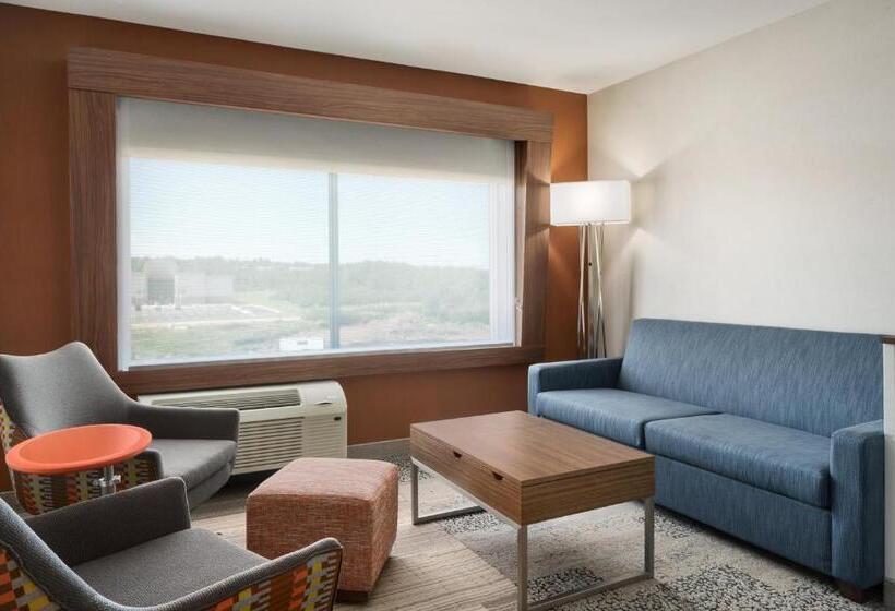 스위트, Holiday Inn Express & Suites Duluth North   Miller Hill, An Ihg
