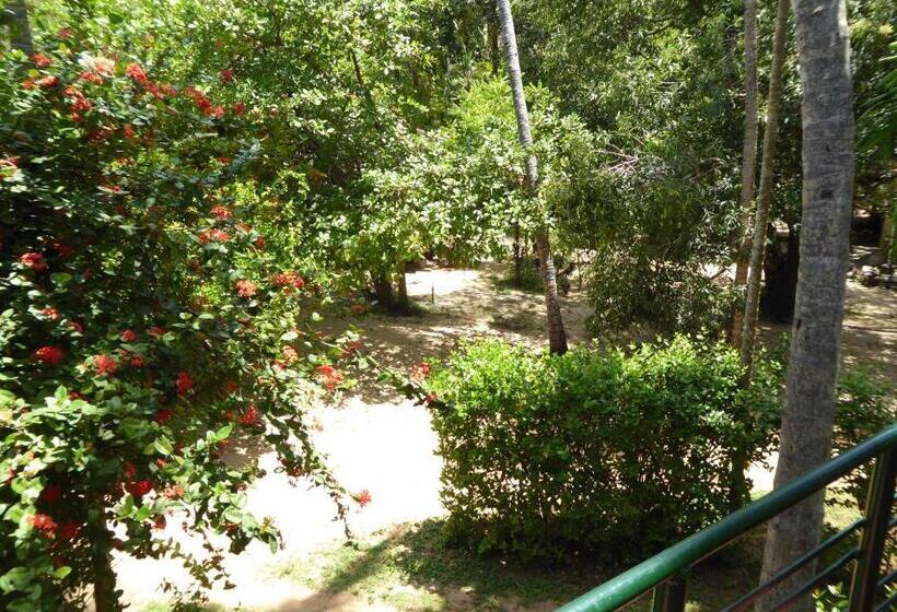 اتاق اکونومی یک تخته, Riviera Resort