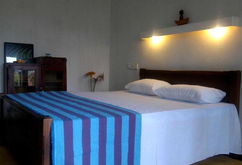 Quarto Economy, Peacock Wings Guest