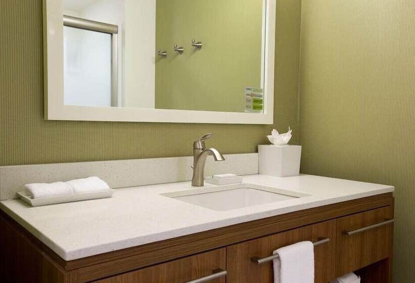 Люкс Адаптированный для Инвалидов, Home2 Suites By Hilton Canton