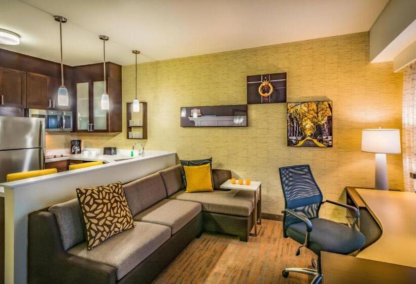 스탠다드 스튜디오 킹침대, Residence Inn By Marriott Savannah Airport