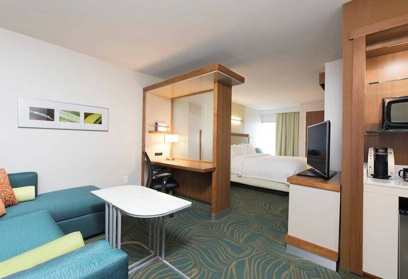 Люкс, Springhill Suites Houston Sugar Land