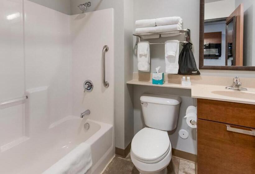 Номер Стандарт Кровать Кинг Адаптированный для Инвалидов, My Place Hotel Brookings, Sd