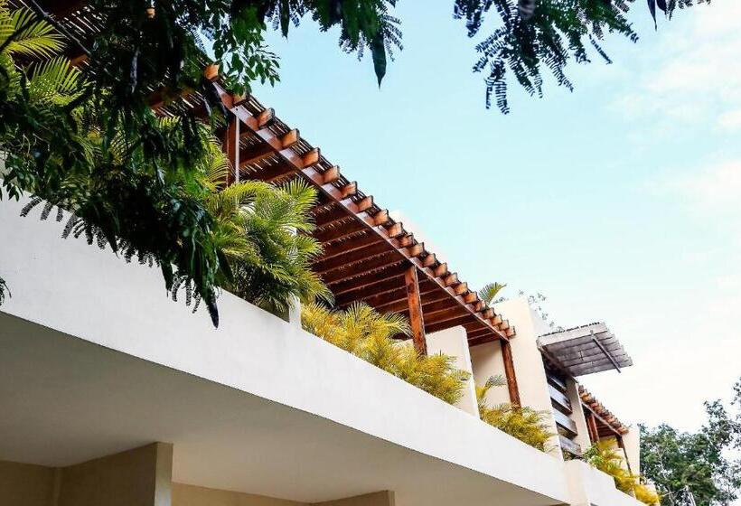 バルコニー付プレミアムルーム, Xscapetulum