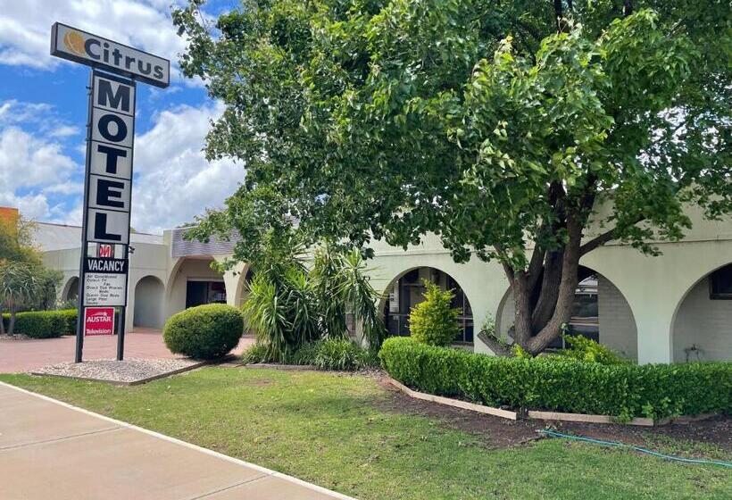 Quarto Familiar, Citrus Motel